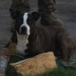 Meet your Posher, Geoffrey